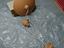 Immagine 5