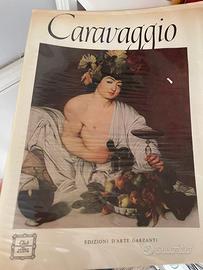 Collezione completa club del libro d'arte Garzanti