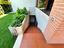 Immagine 19
