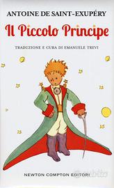 Libro piccolo principe