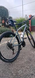 MTB Bottecchia 