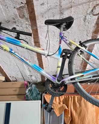 Bicicletta