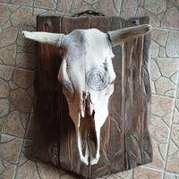 teschio decorativo 