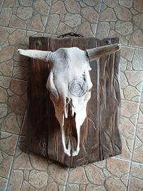 teschio decorativo 
