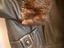 Immagine 6