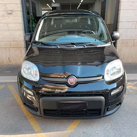 Fiat Panda 1.0 FireFly 70cv Hybrid City Life