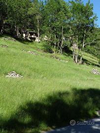 Rustico/Casale/Corte Varzo [81327VRG]