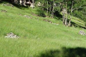 Rustico/Casale/Corte Varzo [81327VRG]