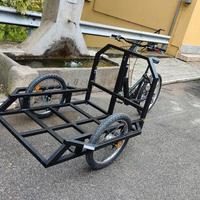 cargobike trasporto heavy duty  250 kg