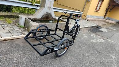 cargobike trasporto heavy duty  250 kg