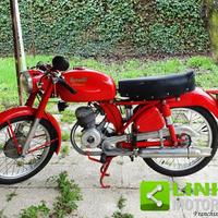 BENELLI Leoncino ANNO