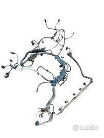 Cablaggio motore Bmw Serie 7 F01 F02 740d