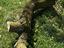 Immagine 1