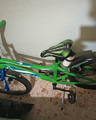 Bicicletta 