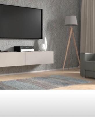 mobile tv