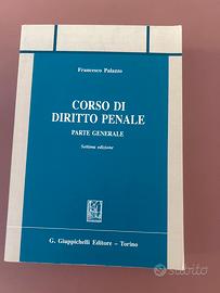 Diritto penale parte generale Palazzo
