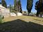 Immagine 12