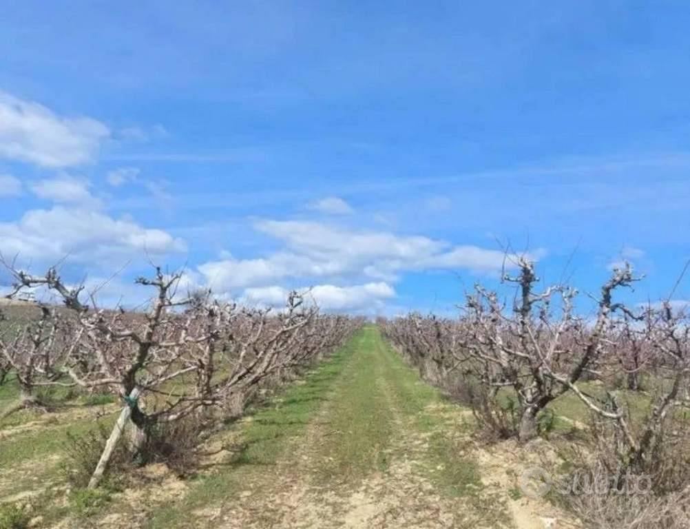 Immobile in asta di 51760 m² a Altomonte - Vista 2