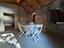 Immagine 17