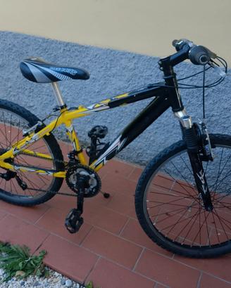 mtb ragazzo 25