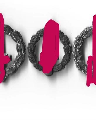 Fascismo, Gladi Aeronautica RSI WW2