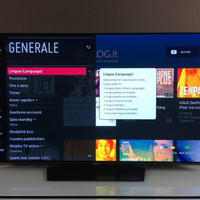LG oled b6v 55 pollici