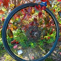 Ruota per rullo perno passante