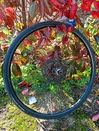 Ruota per rullo perno passante