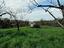 Immagine 29