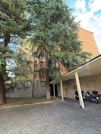 Appartamento Bologna [MASS.177VRG]