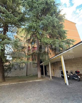 Appartamento Bologna [MASS.177VRG]