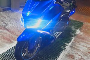 Timax 530