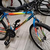 Biciclette varie