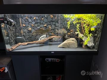 Acquario Juwel rio 180