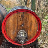 Botte in legno vino