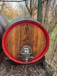 Botte in legno vino