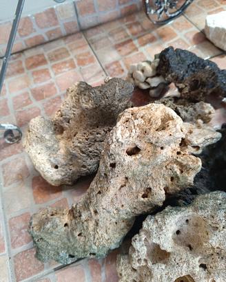 rocce acquario 