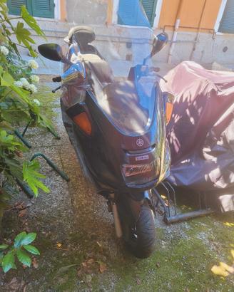 Yamaha majesty 250 abs del 2000 ricambi