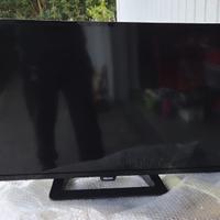Televisore Philips