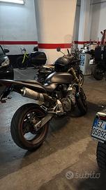 Hornet 600
