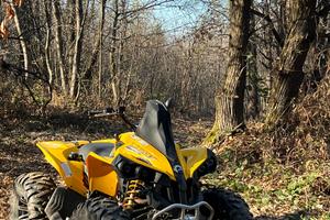 Can am Renegade 800