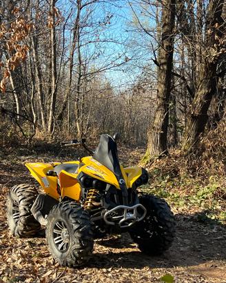 Can am Renegade 800