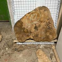 Legno naturale artigianale – Dischi di noce