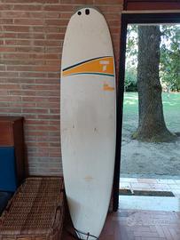 tavola surf 
