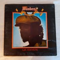 Dischi in vinile 33 giri Cat Stevens