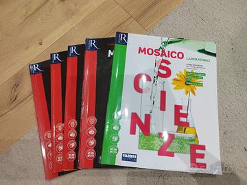 MOSAICO scienze libri scuole medie