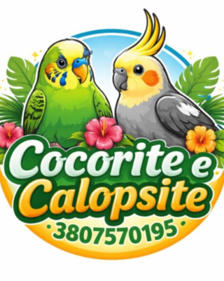 Cocorite e Calopsite