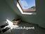 Immagine 19