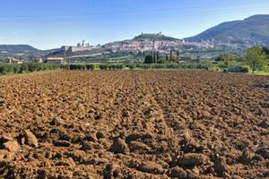 Terreno agricolo assisi