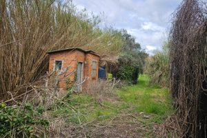 Terreno agricolo cat D10